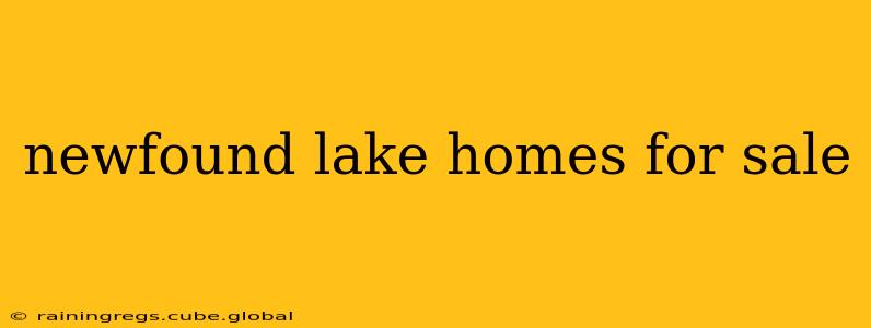 newfound lake homes for sale