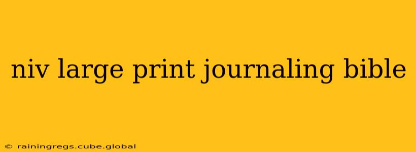 niv large print journaling bible
