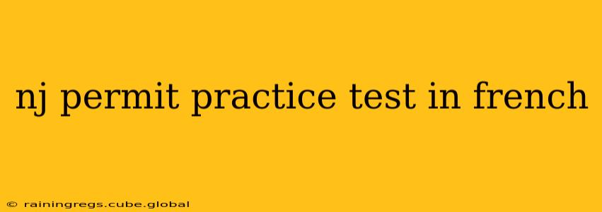 nj permit practice test in french