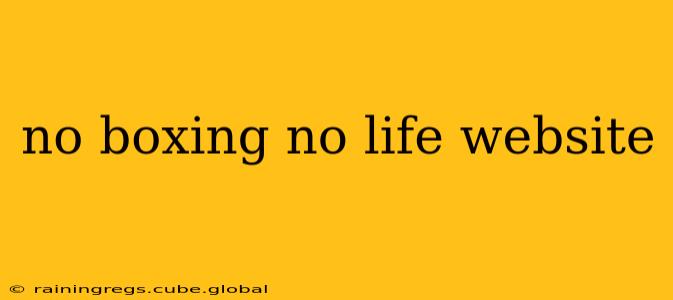no boxing no life website