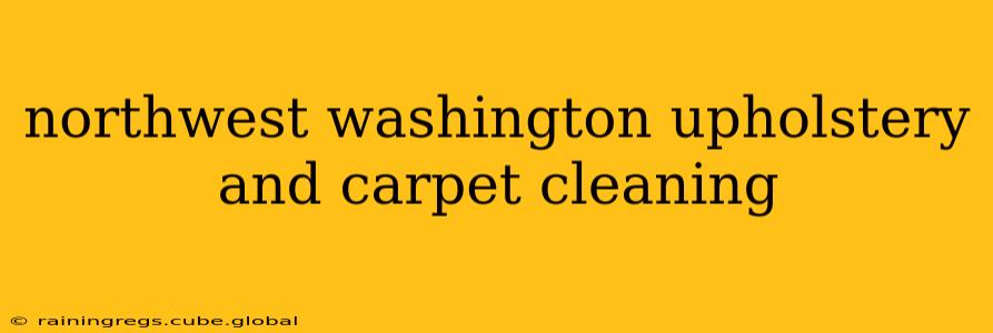 northwest washington upholstery and carpet cleaning