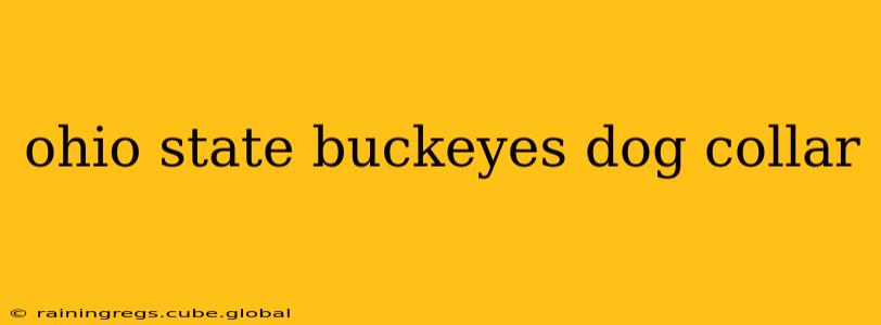 ohio state buckeyes dog collar
