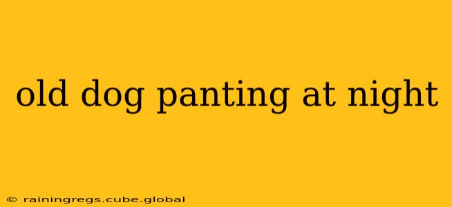 old dog panting at night