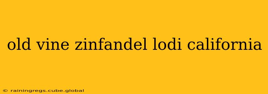 old vine zinfandel lodi california