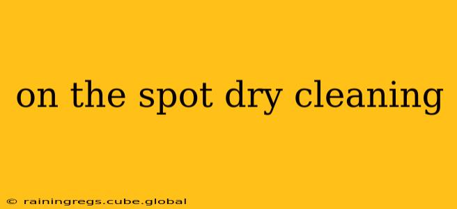 on the spot dry cleaning