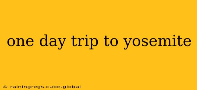 one day trip to yosemite