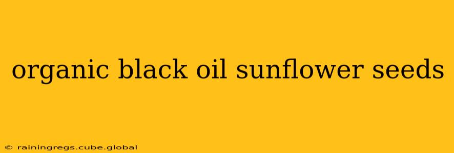 organic black oil sunflower seeds