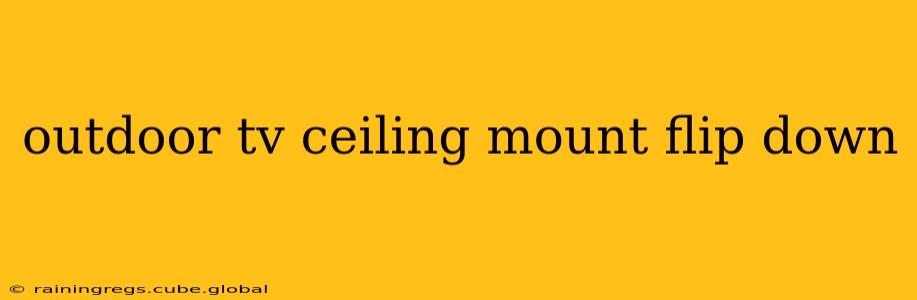 outdoor tv ceiling mount flip down