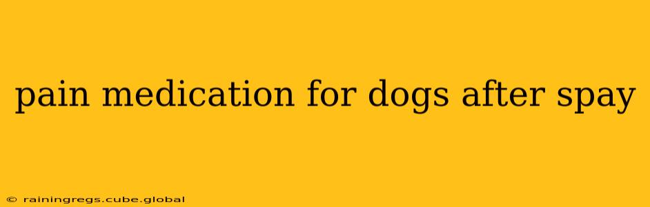 pain medication for dogs after spay
