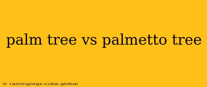 palm tree vs palmetto tree