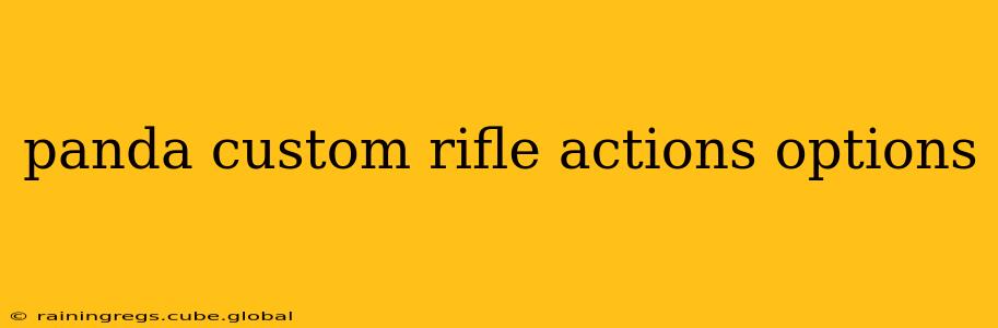 panda custom rifle actions options