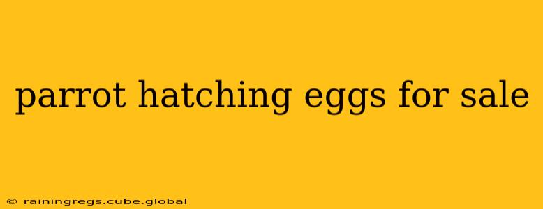 parrot hatching eggs for sale