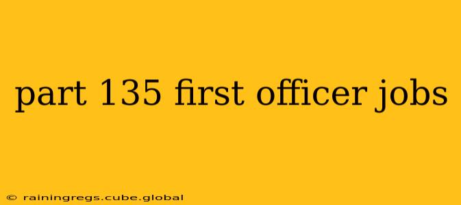 part 135 first officer jobs