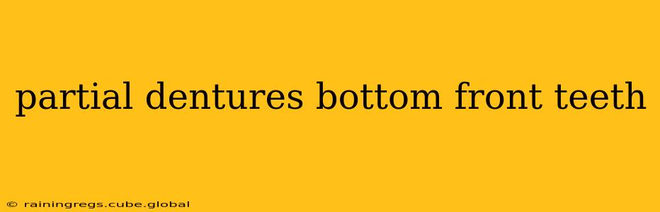 partial dentures bottom front teeth