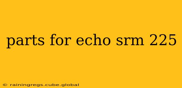 parts for echo srm 225