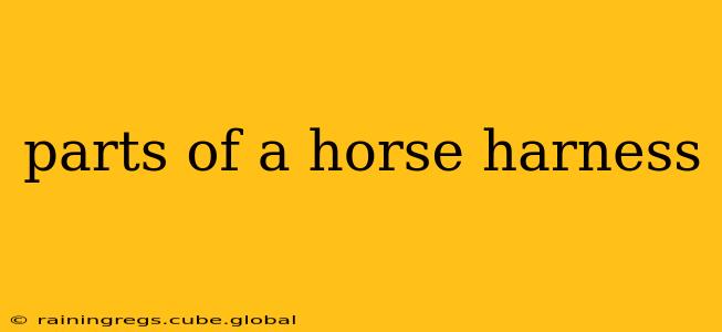 parts of a horse harness