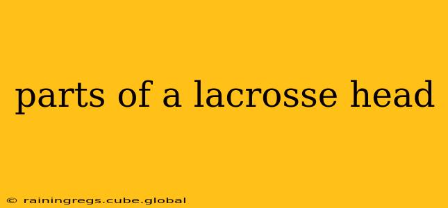 parts of a lacrosse head