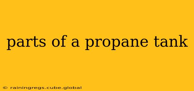 parts of a propane tank