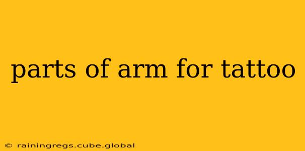 parts of arm for tattoo