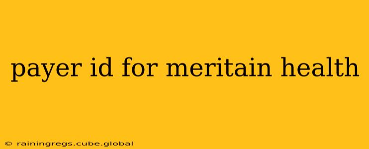 payer id for meritain health