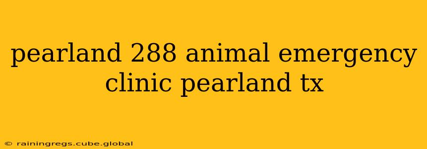pearland 288 animal emergency clinic pearland tx