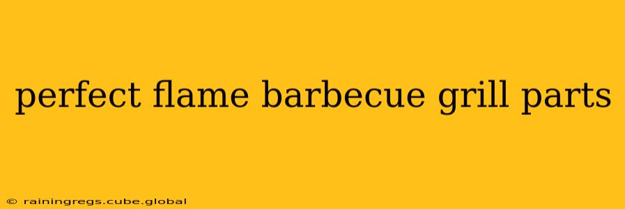 perfect flame barbecue grill parts