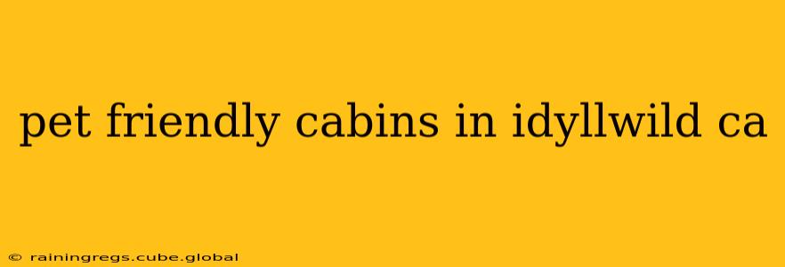 pet friendly cabins in idyllwild ca
