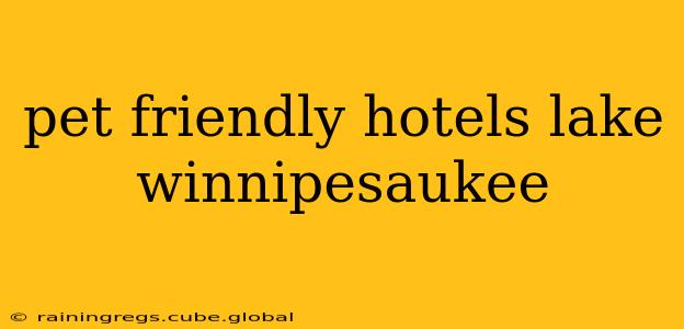 pet friendly hotels lake winnipesaukee