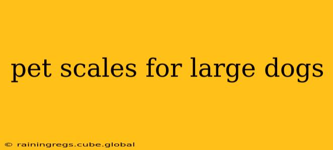 pet scales for large dogs