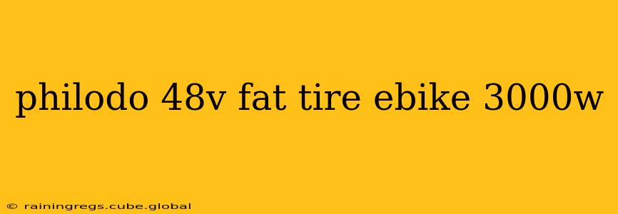 philodo 48v fat tire ebike 3000w