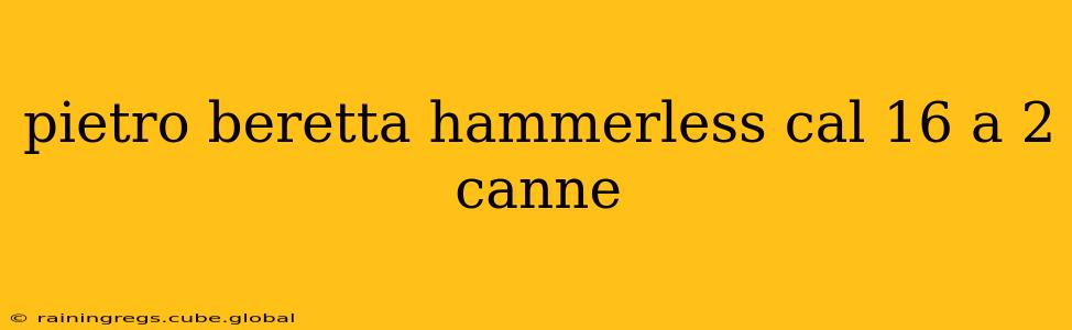 pietro beretta hammerless cal 16 a 2 canne