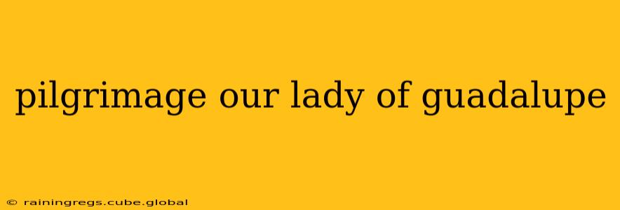 pilgrimage our lady of guadalupe