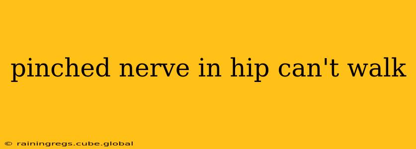 pinched nerve in hip can't walk