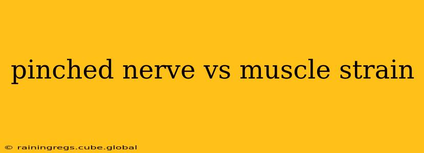 pinched nerve vs muscle strain