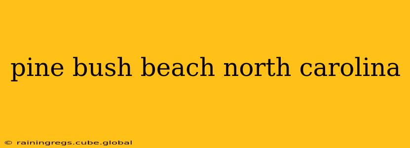 pine bush beach north carolina