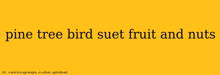 pine tree bird suet fruit and nuts