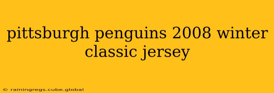 pittsburgh penguins 2008 winter classic jersey