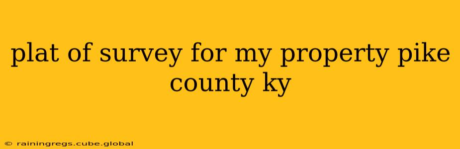 plat of survey for my property pike county ky