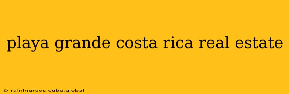 playa grande costa rica real estate