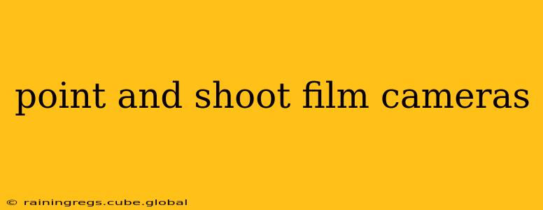 point and shoot film cameras
