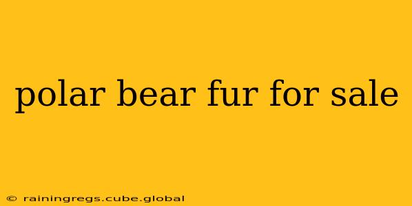 polar bear fur for sale