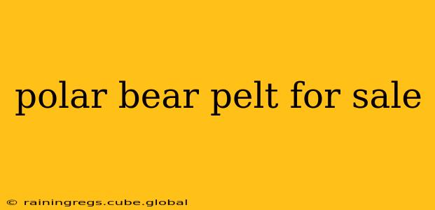polar bear pelt for sale