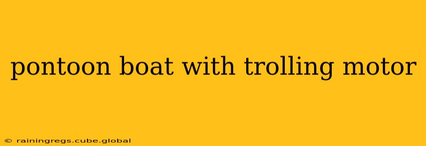 pontoon boat with trolling motor