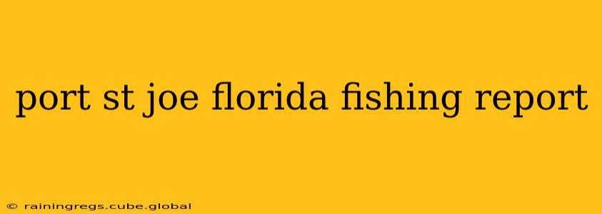 port st joe florida fishing report