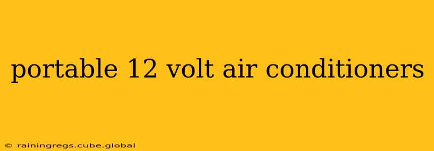 portable 12 volt air conditioners