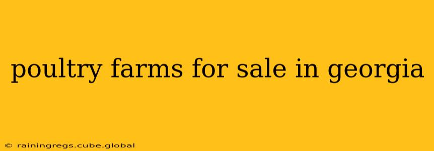 poultry farms for sale in georgia