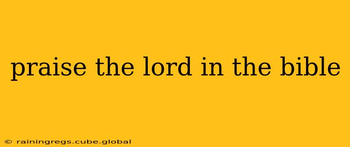 praise the lord in the bible