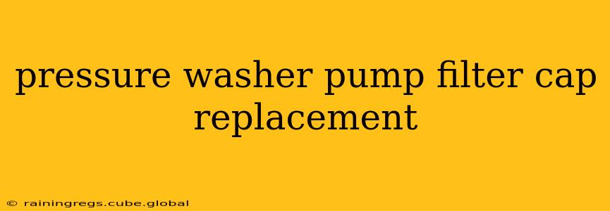 pressure washer pump filter cap replacement