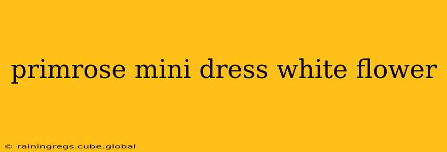 primrose mini dress white flower