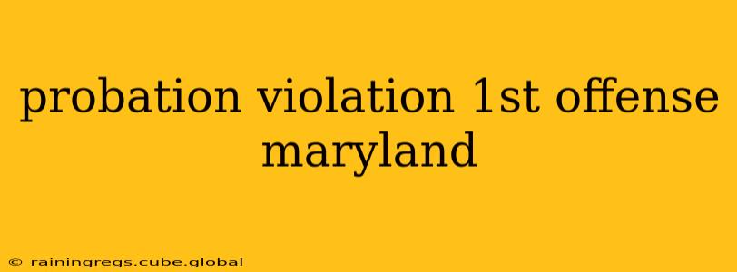 probation violation 1st offense maryland